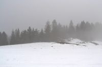 149 Szczawnica 28.02 - 01.03.2015 r.